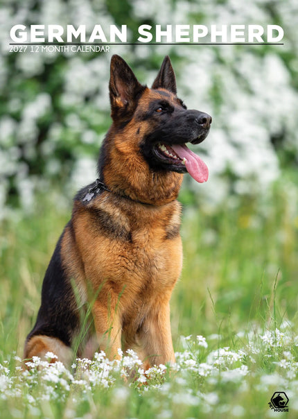 CalendarsRUs Duitse Herder A3 Kalender 2027