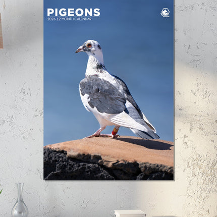 CalendarsRUs Duiven A3 Kalender 2027