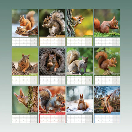 CalendarsRUs Eekhoorn A3 Kalender 2027