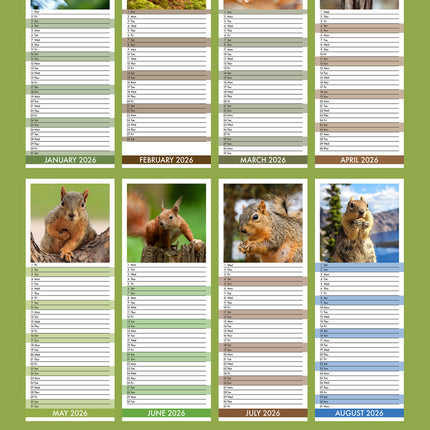 CalendarsRUs Eekhoorn Slimline Kalender 2026
