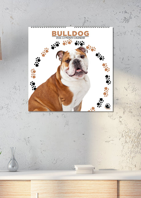 CalendarsRUs Engelse Bulldog Kalender 2026