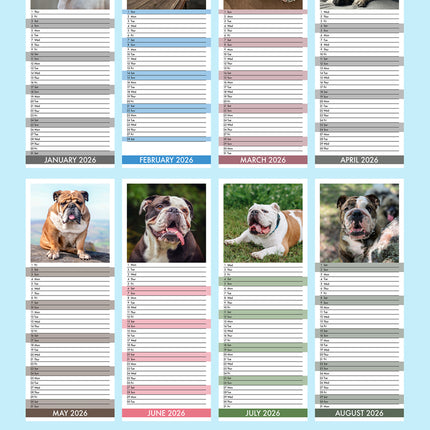 CalendarsRUs Engelse Bulldog Slimline Kalender 2026