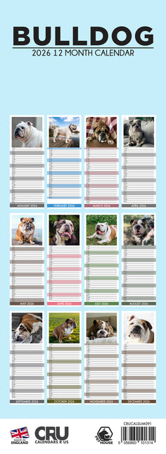CalendarsRUs Engelse Bulldog Slimline Kalender 2026