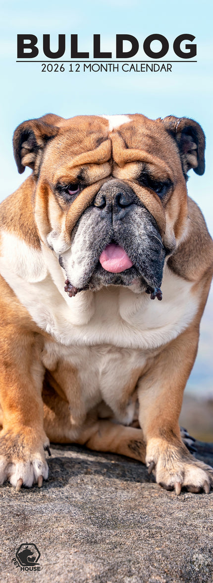 CalendarsRUs Engelse Bulldog Slimline Kalender 2026