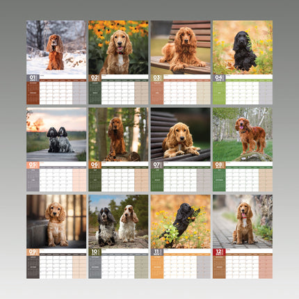 CalendarsRUs Engelse Cocker Spaniel A3 Kalender 2026