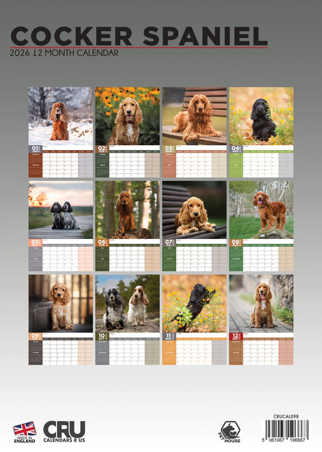 CalendarsRUs Engelse Cocker Spaniel A3 Kalender 2026