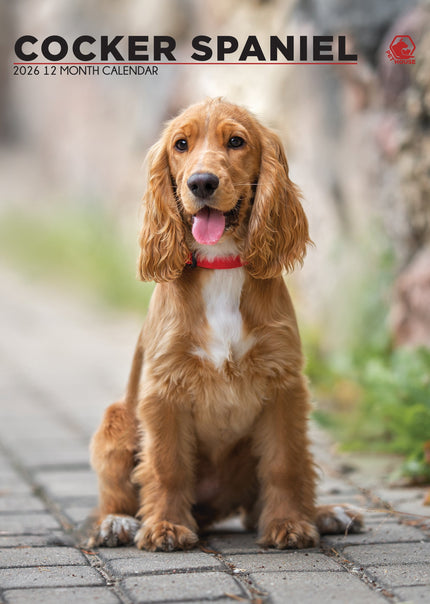 CalendarsRUs Engelse Cocker Spaniel A3 Kalender 2026