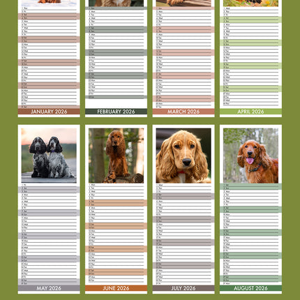 CalendarsRUs Engelse Cocker Spaniel Slimline Kalender 2026