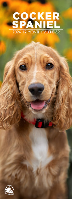 CalendarsRUs Engelse Cocker Spaniel Slimline Kalender 2026