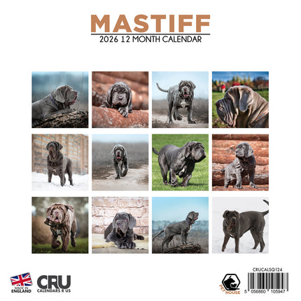 CalendarsRUs Engelse Mastiff Kalender 2026
