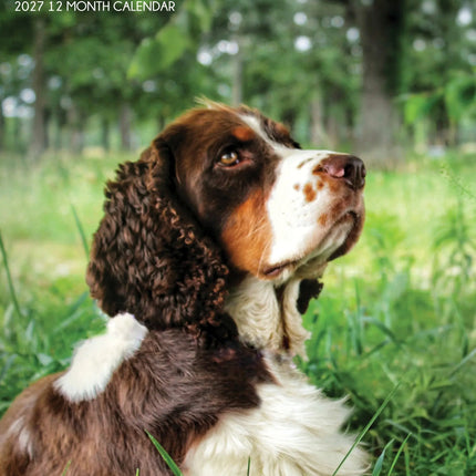 CalendarsRUs Engelse Springer Spaniel A3 Kalender 2027