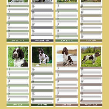 CalendarsRUs Engelse Springer Spaniel Slimline Kalender 2026