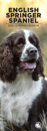 CalendarsRUs Engelse Springer Spaniel Slimline Kalender 2026
