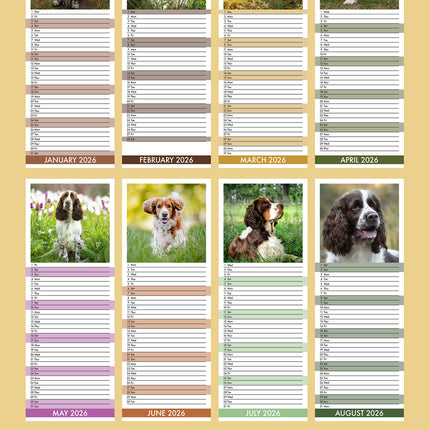 CalendarsRUs Engelse Springer Spaniel Slimline Kalender 2026
