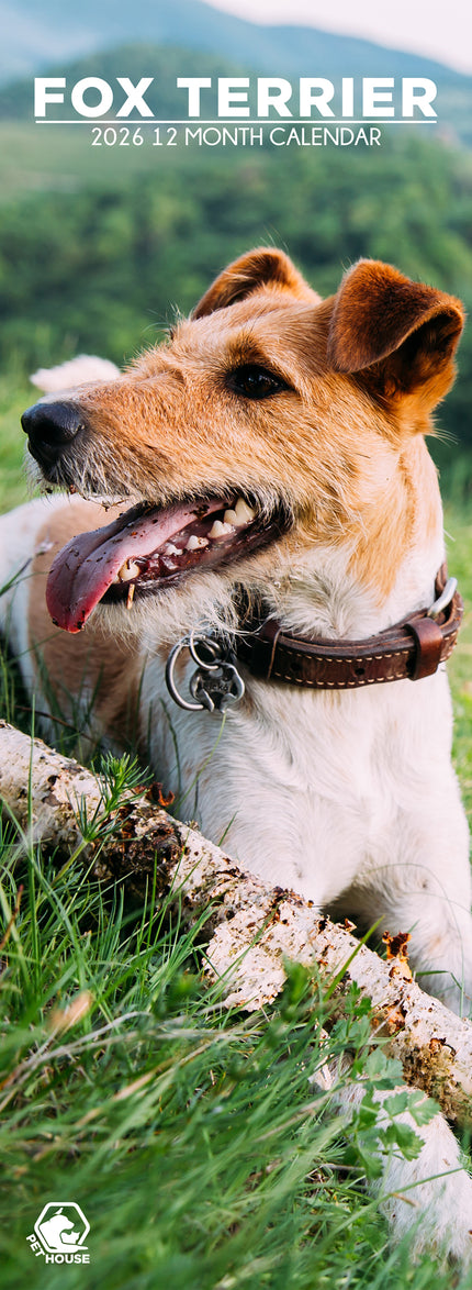 CalendarsRUs Fox Terrier Slimline Kalender 2026