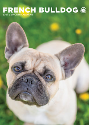 CalendarsRUs Franse Bulldog A3 Kalender 2027