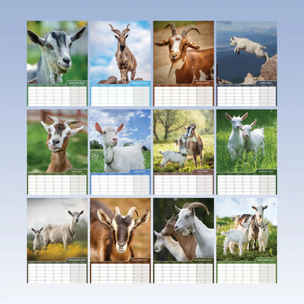 CalendarsRUs Geiten A3 Kalender 2027