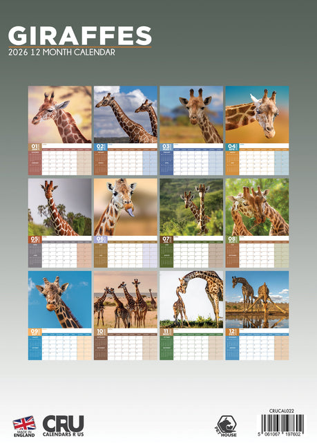 CalendarsRUs Giraffe A3 Kalender 2026