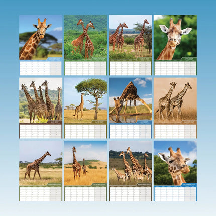 CalendarsRUs Giraffe A3 Kalender 2027