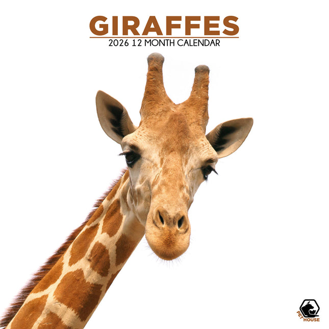 CalendarsRUs Giraffe Kalender 2026