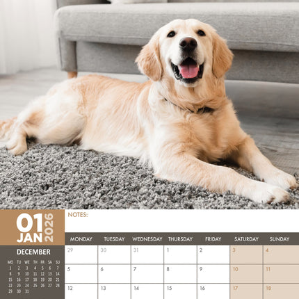 CalendarsRUs Golden Retriever A3 Kalender 2027