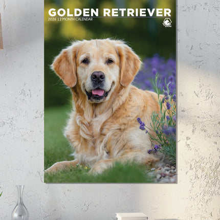 CalendarsRUs Golden Retriever A3 Kalender 2027