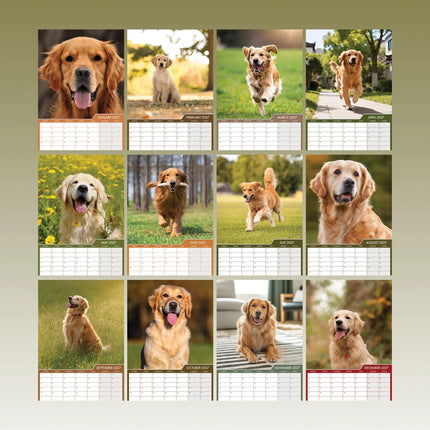 CalendarsRUs Golden Retriever A3 Kalender 2027