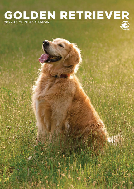 CalendarsRUs Golden Retriever A3 Kalender 2027