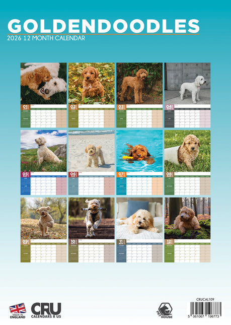 CalendarsRUs Goldendoodle A3 Kalender 2026