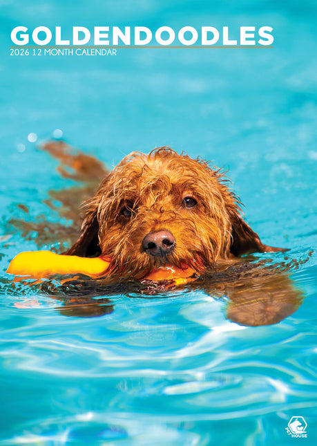 CalendarsRUs Goldendoodle A3 Kalender 2026
