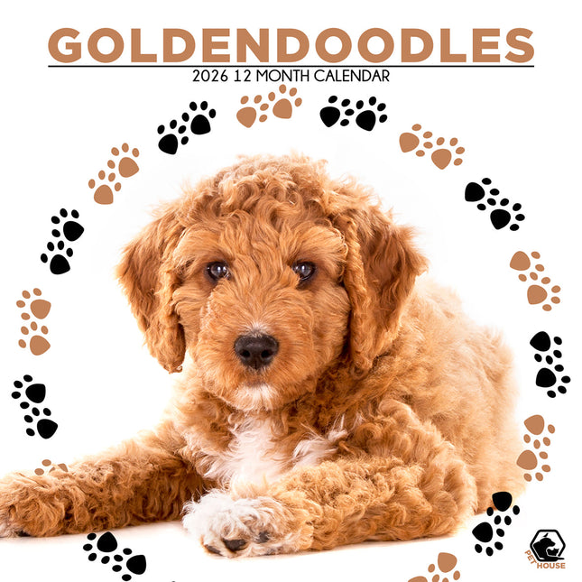 CalendarsRUs Goldendoodle Kalender 2026
