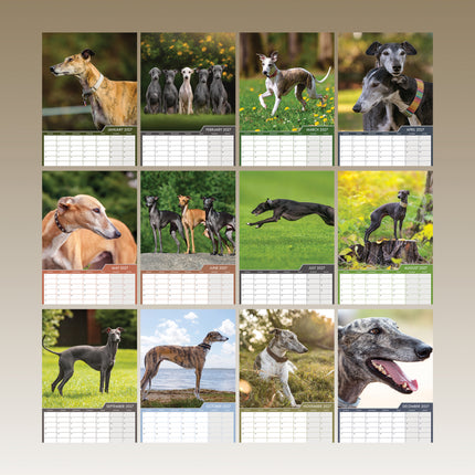 CalendarsRUs Greyhound A3 Kalender 2027
