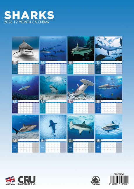 CalendarsRUs Haaien A3 Kalender 2026