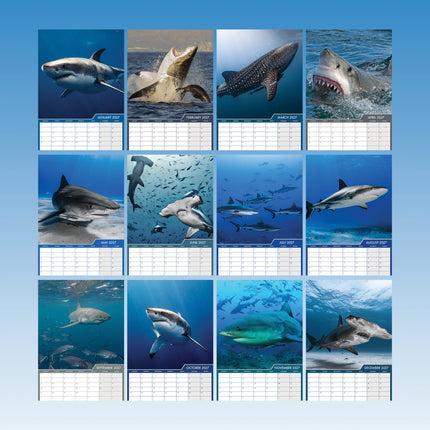 CalendarsRUs Haaien A3 Kalender 2027