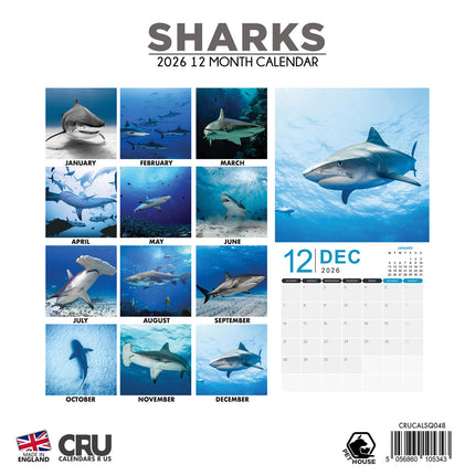 CalendarsRUs Haaien Kalender 2026