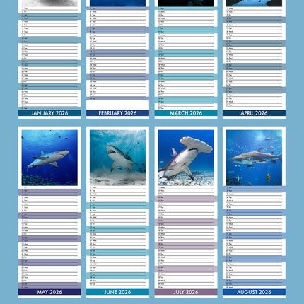 CalendarsRUs Haaien Slimline Kalender 2026