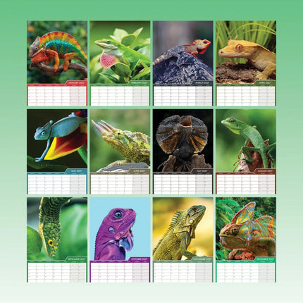 CalendarsRUs Hagedissen A3 Kalender 2027