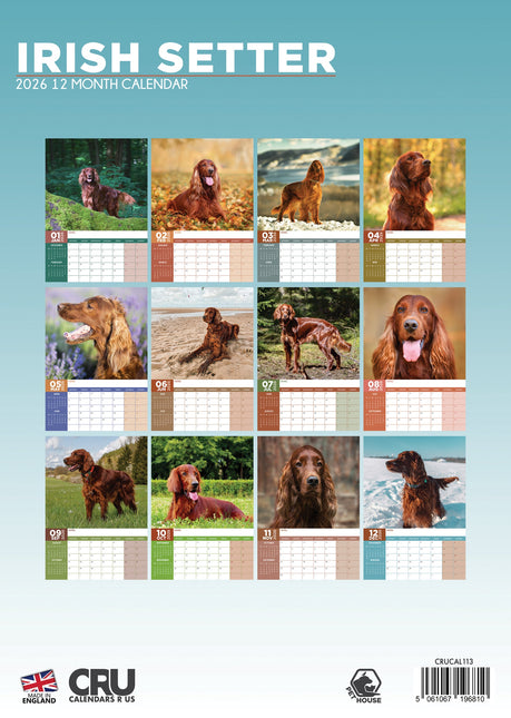 CalendarsRUs Ierse Setter A3 Kalender 2026