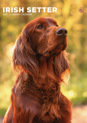 CalendarsRUs Ierse Setter A3 Kalender 2027