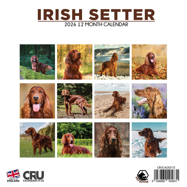 CalendarsRUs Ierse Setter Kalender 2026
