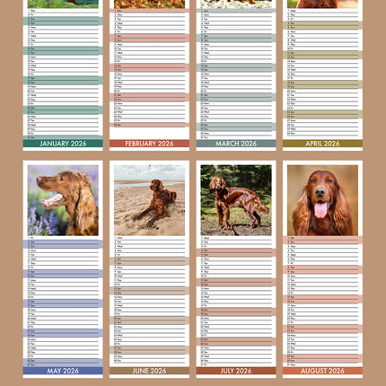 CalendarsRUs Ierse Setter Slimline Kalender 2026