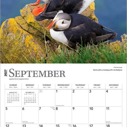 CalendarsRUs IJsland Kalender 2027