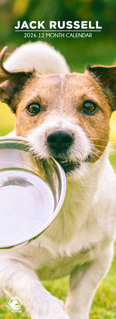 CalendarsRUs Jack Russell Slimline Kalender 2026