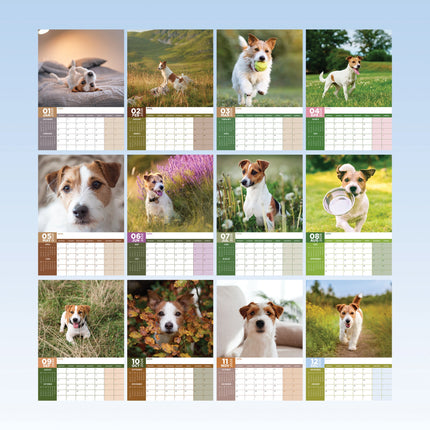 CalendarsRUs Jack Russell Terrier A3 Kalender 2026