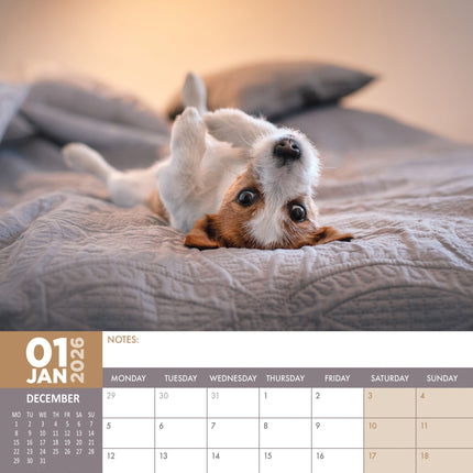 CalendarsRUs Jack Russell Terrier A3 Kalender 2026