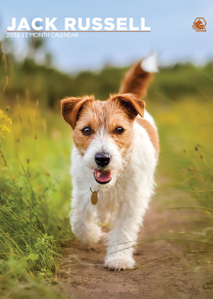 CalendarsRUs Jack Russell Terrier A3 Kalender 2026