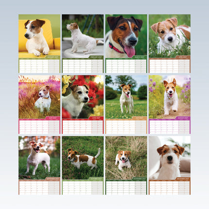 CalendarsRUs Jack Russell Terrier A3 Kalender 2027