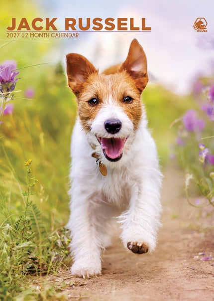 CalendarsRUs Jack Russell Terrier A3 Kalender 2027