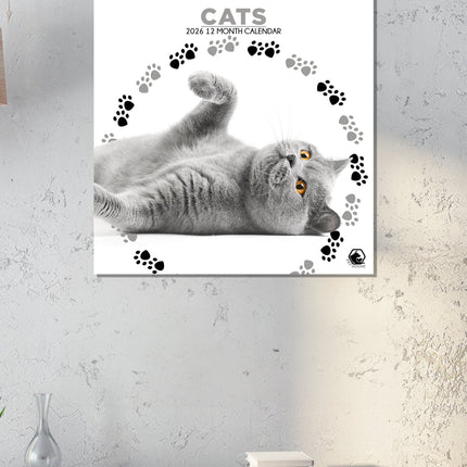 CalendarsRUs Katten Kalender 2026