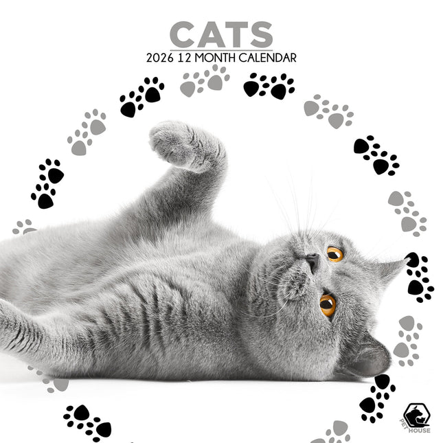 CalendarsRUs Katten Kalender 2026